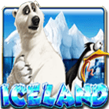 Ice Land