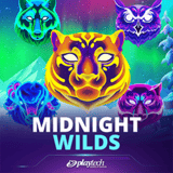 Midnight Wilds